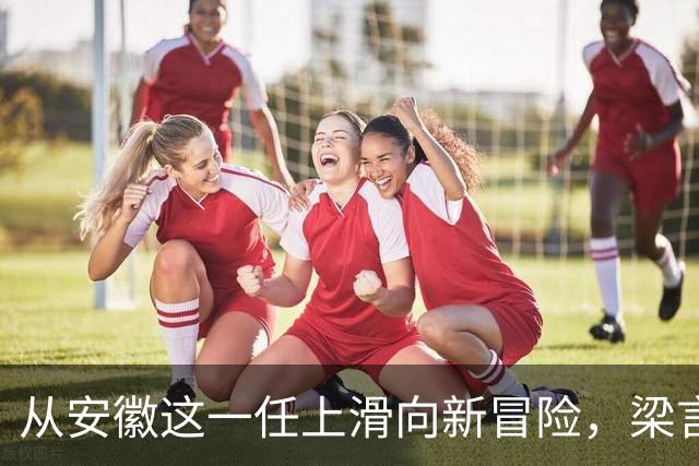 从安徽这一任上滑向新冒险，梁言顺的告别曲